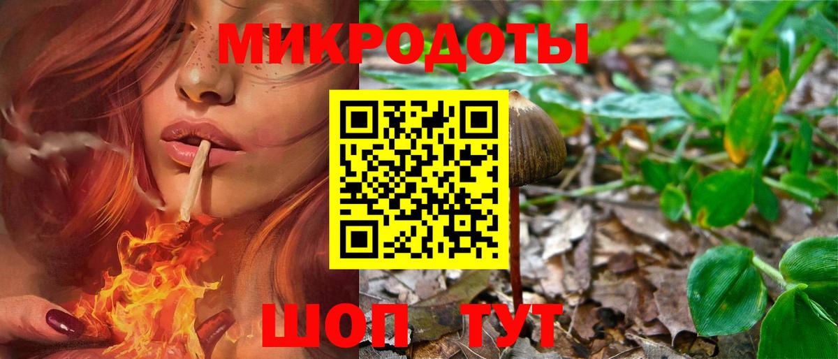 Галлюциногенные грибы мухоморы  Вход с VPN  Киселёвск  Псилоцибиновые грибы ЛСД 