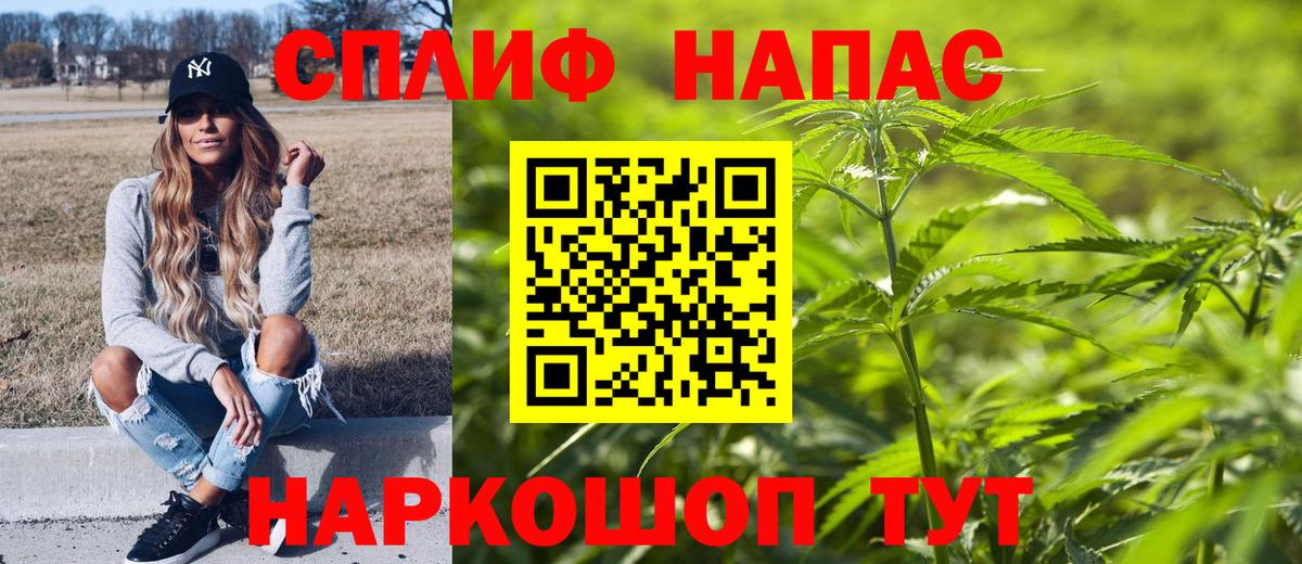 Конопля SATIVA & INDICA Киселёвск